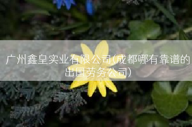 广州鑫皇实业有限公司(成都哪有靠谱的出国劳务公司)