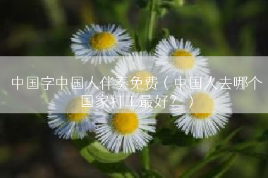 中国字中国人伴奏免费（中国人去哪个国家打工最好？）