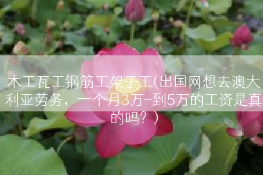 木工瓦工钢筋工架子工(出国网想去澳大利亚劳务，一个月3万-到5万的工资是真的吗？)
