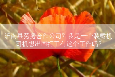 沂南县劳务合作公司？我是一个装载机司机想出国打工有这个工作吗？
