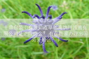 十鼎包装（有谁知道阜新海纳川派遣有限公司是正规的么？ 有在他家办理出国劳务的么？）