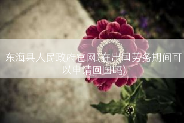 东海县人民政府官网(在出国劳务期间可以申请回国吗)