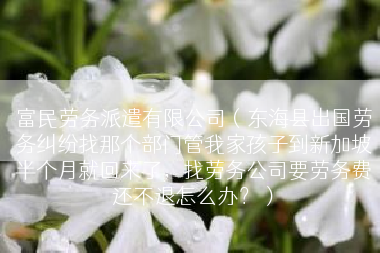 富民劳务派遣有限公司（东海县出国劳务纠纷找那个部门管我家孩子到新加坡半个月就回来了，找劳务公司要劳务费还不退怎么办？）