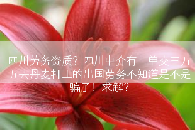 四川劳务资质？四川中介有一单交三万五去丹麦打工的出国劳务不知道是不是骗子！求解？