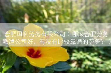 合肥国利劳务有限公司（哪家合肥劳务派遣公司好，有没有比较靠谱的劳务？）