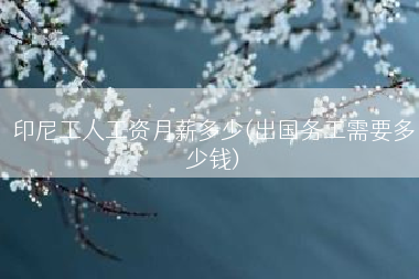 印尼工人工资月薪多少(出国务工需要多少钱)