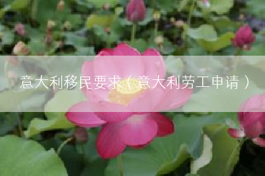 意大利移民要求（意大利劳工申请）
