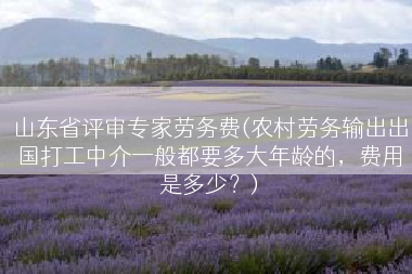 山东省评审专家劳务费(农村劳务输出出国打工中介一般都要多大年龄的，费用是多少？)