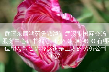 武汉东西湖劳务派遣？武汉市国际交流服务中心证书编号LT42002009000 有哪位朋友能告诉我这家是正规的劳务公司吗？