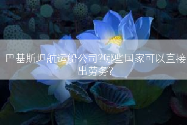 巴基斯坦航运船公司?哪些国家可以直接出劳务?
