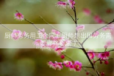 厨师劳务用工合同（厨师想出国劳务需要哪些要求）