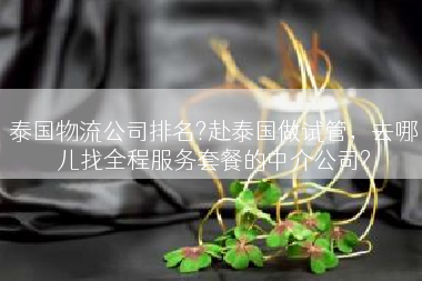 泰国物流公司排名?赴泰国做试管，去哪儿找全程服务套餐的中介公司?