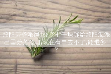 濮阳劳务派遣?交了七千块钱给濮阳海派出国劳务公司,现在有事去不了,能退多��?