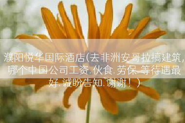 濮阳悦华国际酒店(去非洲安哥拉搞建筑,哪个中国公司工资.伙食.劳保.等待遇最好.诚盼告知.谢谢！)
