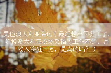 昊臣澳大利亚海运（最近想出国务工了，听说澳大利亚农场采摘的工作不错，月收入将近三万，是真的吗？）