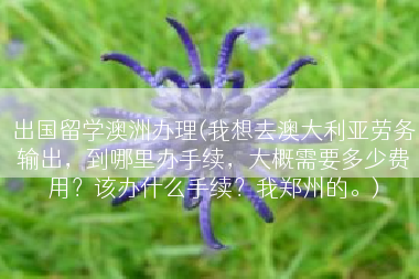 出国留学澳洲办理(我想去澳大利亚劳务输出，到哪里办手续，大概需要多少费用？该办什么手续？我郑州的。)
