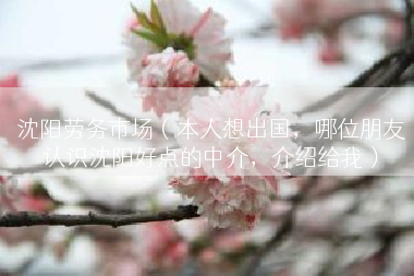 沈阳劳务市场（本人想出国，哪位朋友认识沈阳好点的中介，介绍给我）