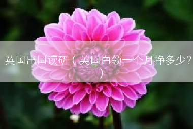 英国出国读研（英国白领一个月挣多少？）