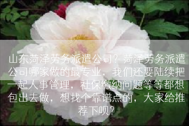 山东菏泽劳务派遣公司？菏泽劳务派遣公司哪家做的最专业，我们还要陆续把一起人事管理，社保缴纳问题等等都想包出去做，想找个靠谱点的，大家给推荐下呗？