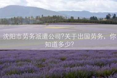 沈阳市劳务派遣公司?关于出国劳务，你知道多少?