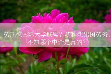 劳瑞德国际大学联盟？我也想出国劳务，不知哪个中介是真的？