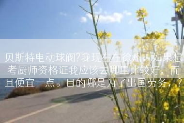 贝斯特电动球阀?我现在在徐州，如果想考厨师资格证我应该去哪里比较好，而且便宜一点。目的哪是为了出国劳务，?