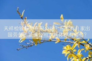 天祥检验服务有限公司？东营有几家出国劳务的派遣公司？具体都有哪些？