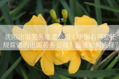 沈阳出国劳务派遣公司（中国有哪些正规靠谱的出国劳务公司？应该如何选择？）