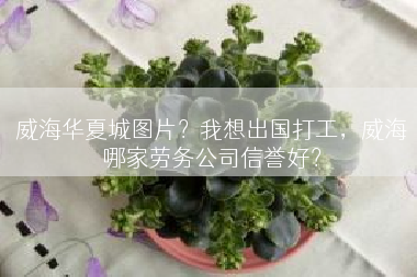 威海华夏城图片？我想出国打工，威海哪家劳务公司信誉好？