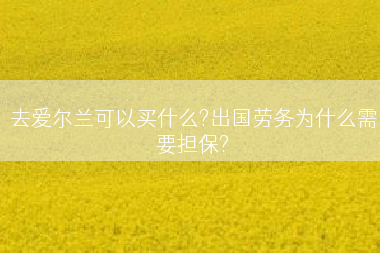 去爱尔兰可以买什么?出国劳务为什么需要担保?