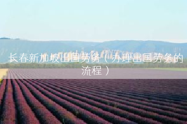 长春新加坡出国劳务（办理出国劳务的流程）