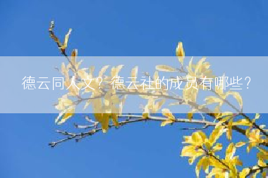 德云同人文？德云社的成员有哪些？