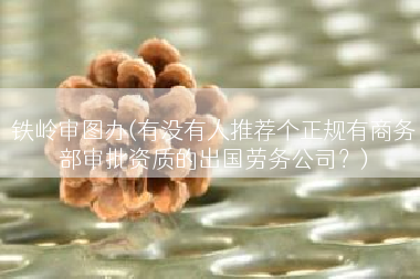 铁岭审图办(有没有人推荐个正规有商务部审批资质的出国劳务公司？)