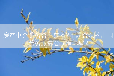 房产中介劳务合同范本?正规合法的出国劳务派遣公司有哪些?