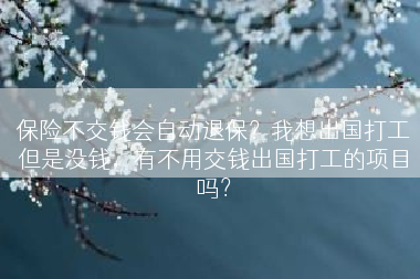 保险不交钱会自动退保？我想出国打工但是没钱，有不用交钱出国打工的项目吗？