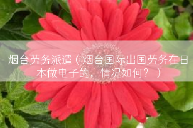 烟台劳务派遣（烟台国际出国劳务在日本做电子的，情况如何？）