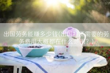 出国劳务能赚多少钱(出国打工需要的劳务费用大概都在什么范围？)