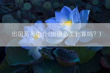 出国劳务中介(出国务工划算吗？)