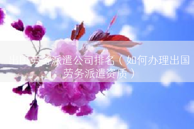 出国劳务派遣公司排名（如何办理出国劳务派遣资质）