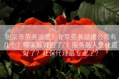 北京市劳务派遣？北京劳务派遣公司有几个？哪家最诚信了/？服务最人性化最好了？社保代理最专业了？