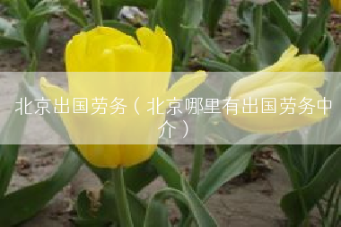 北京出国劳务（北京哪里有出国劳务中介）
