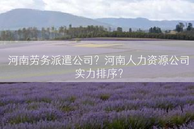 河南劳务派遣公司？河南人力资源公司实力排序？