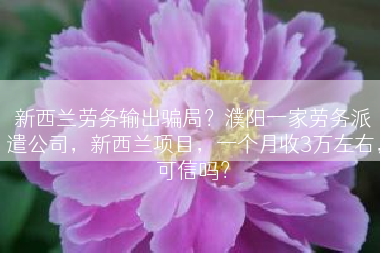 新西兰劳务输出骗局？濮阳一家劳务派遣公司，新西兰项目，一个月收3万左右，可信吗？