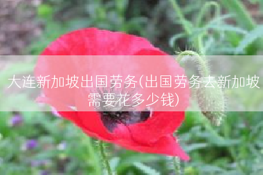 大连新加坡出国劳务(出国劳务去新加坡需要花多少钱)