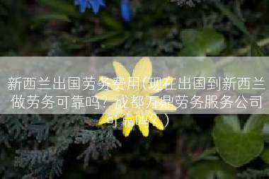 新西兰出国劳务费用(现在出国到新西兰做劳务可靠吗？成都万鼎劳务服务公司可靠吗？)