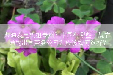柴油发电机组泰州？中国有哪些正规靠谱的出国劳务公司？应该如何选择？