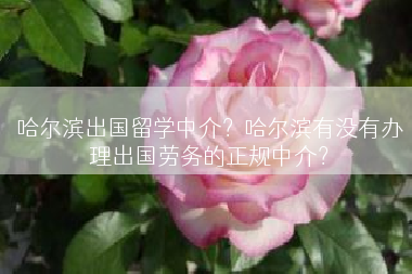 哈尔滨出国留学中介？哈尔滨有没有办理出国劳务的正规中介？