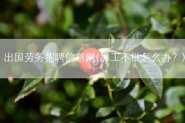 出国劳务招聘信息网(辞工不批怎么办？)