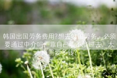 韩国出国劳务费用?想去韩国劳务，必须要通过中介吗，靠自己能不能过去，大概需要多钱?