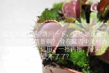 延吉考研机构?请问一下，延边地区留学中介哪个有信誉啊？ 我在延吉中关村办过，非常不守信用，一拖再拖，我实在受不了了?